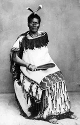 Porträt eines Maori-Mannes, vor 1880